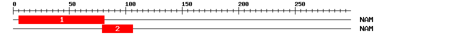 Signature Domain