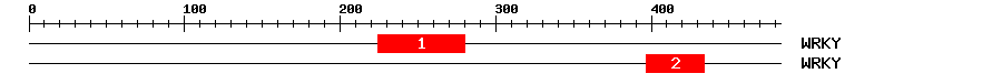 Signature Domain