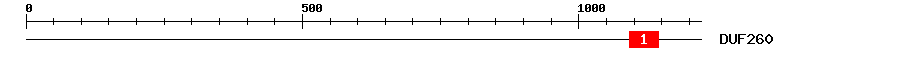 Signature Domain