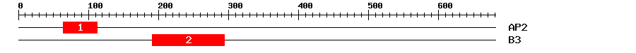 Signature Domain