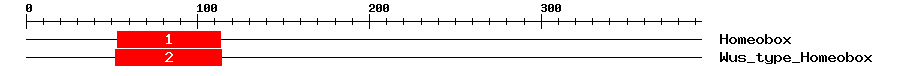 Signature Domain