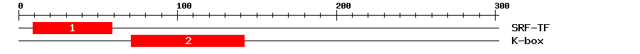 Signature Domain