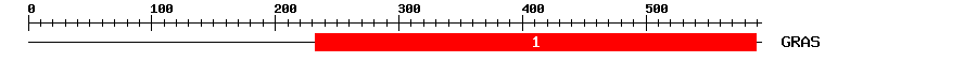 Signature Domain