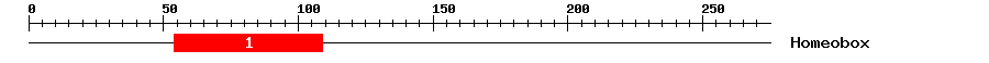 Signature Domain