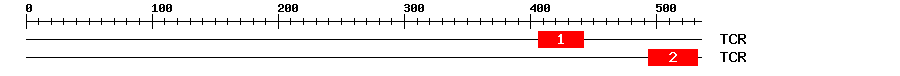 Signature Domain