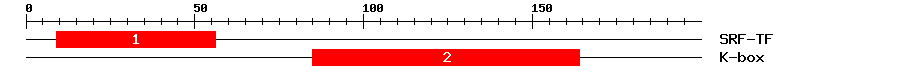Signature Domain