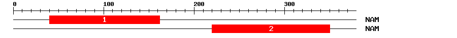 Signature Domain
