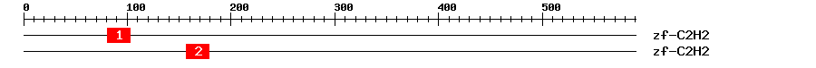 Signature Domain
