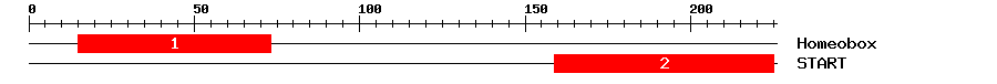 Signature Domain