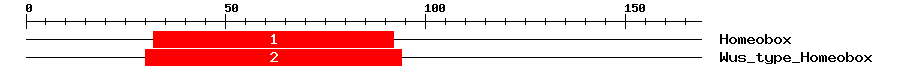 Signature Domain