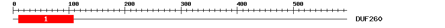 Signature Domain