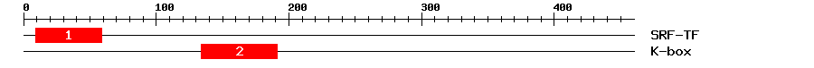 Signature Domain