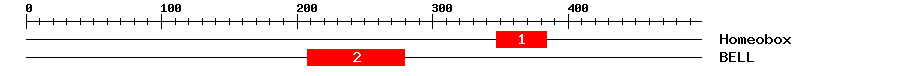 Signature Domain
