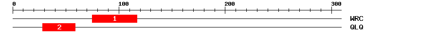 Signature Domain