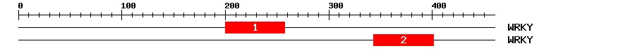 Signature Domain