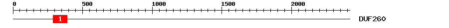 Signature Domain