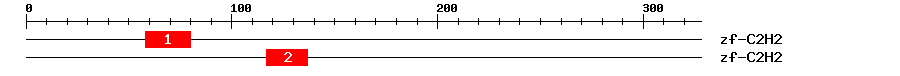 Signature Domain