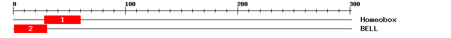 Signature Domain