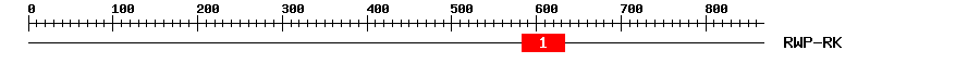 Signature Domain