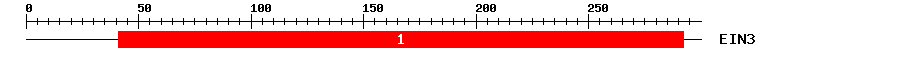 Signature Domain