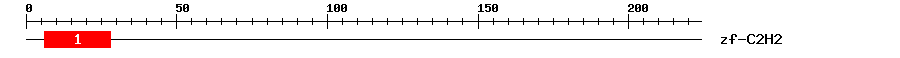 Signature Domain