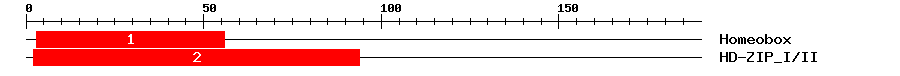 Signature Domain