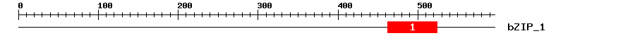 Signature Domain