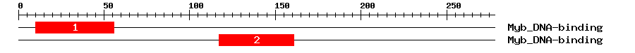 Signature Domain