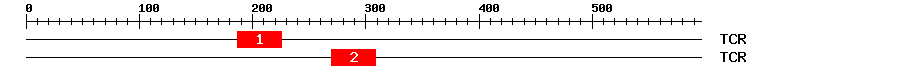 Signature Domain