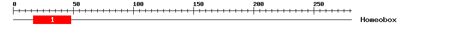 Signature Domain