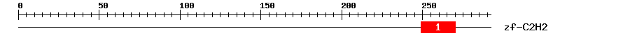 Signature Domain