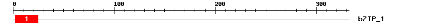 Signature Domain