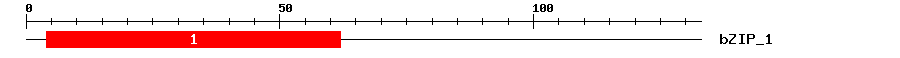 Signature Domain