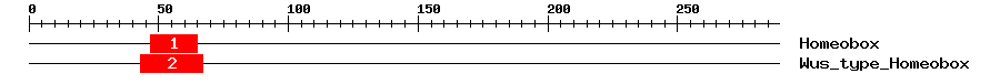 Signature Domain