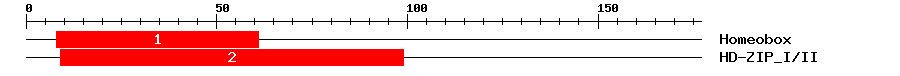 Signature Domain