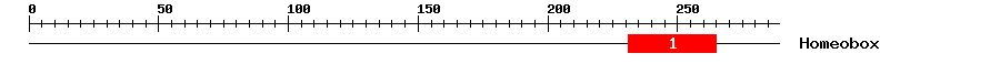 Signature Domain