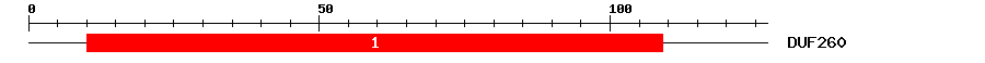 Signature Domain