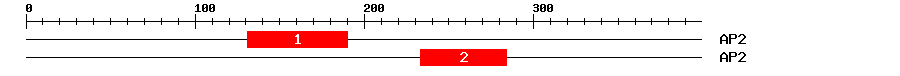 Signature Domain
