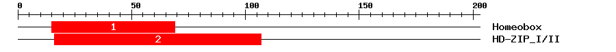 Signature Domain