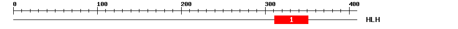 Signature Domain