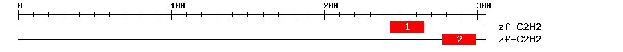 Signature Domain