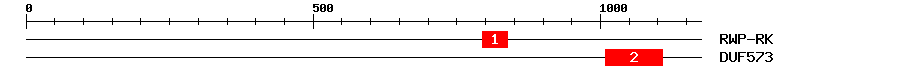 Signature Domain