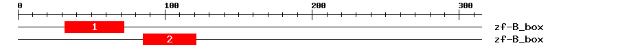 Signature Domain