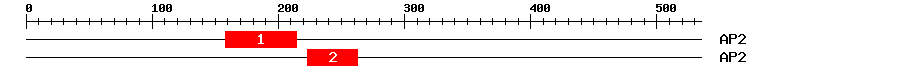Signature Domain