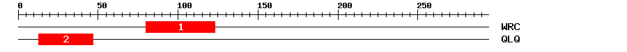 Signature Domain