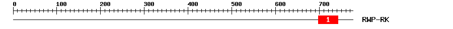 Signature Domain