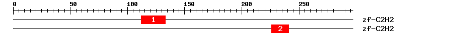 Signature Domain