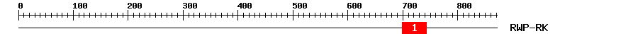 Signature Domain