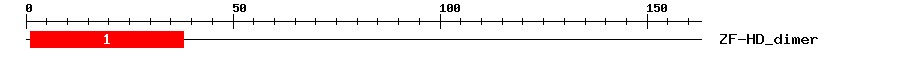 Signature Domain