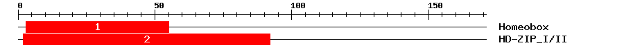Signature Domain